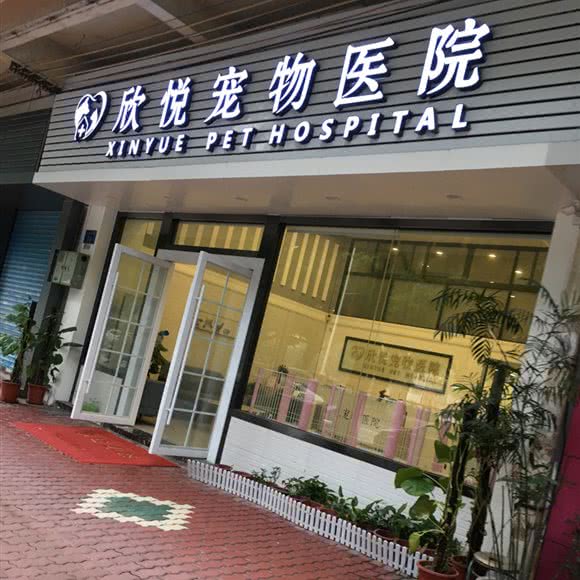 欣悦宠物医院:广州市番禺区市桥附近
