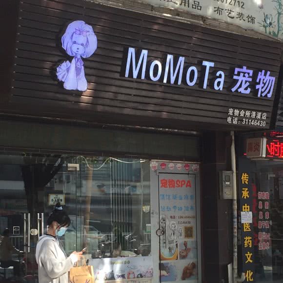 momota狗狗:广州市番禺区洛溪附近