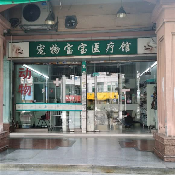 宠物宝宝医疗馆:广州市番禺区洛溪附近
