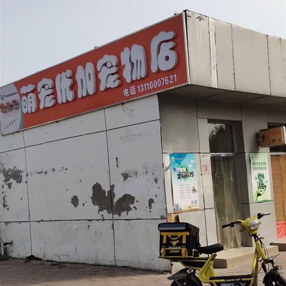 爱洁宠物美容中心:天津城区津南区北闸口镇附近