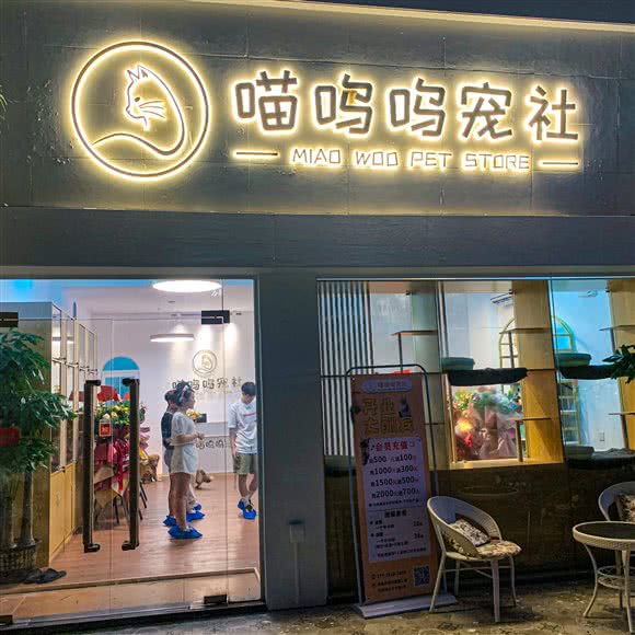 喵呜呜宠社:广州市番禺区长隆/南村附近
