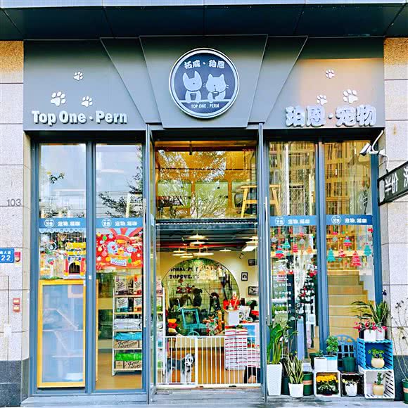 拓威·珀恩宠物美容·SPA:广州市番禺区长隆/南村附近