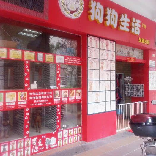 狗狗生活宠物(广州雅居乐花园店):广州市番禺区长隆/南村附近