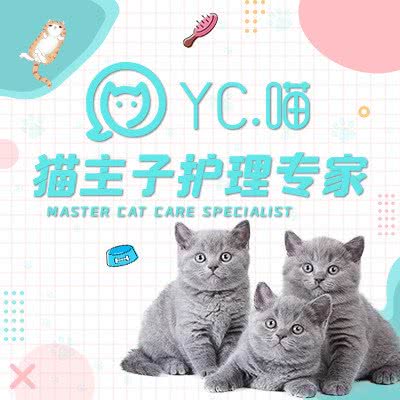 YC.喵:广州市番禺区长隆/南村附近