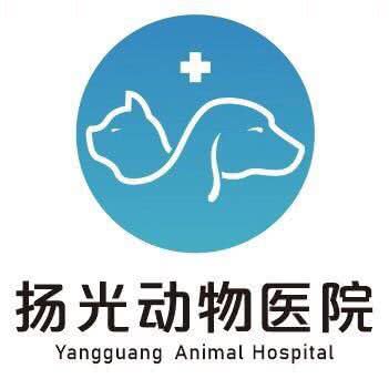 扬光动物医院:广州市番禺区长隆/南村附近