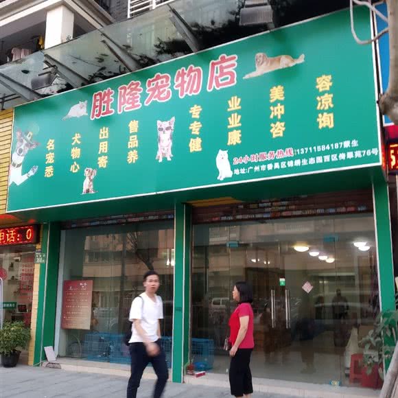 胜隆宠物店:广州市番禺区钟村附近