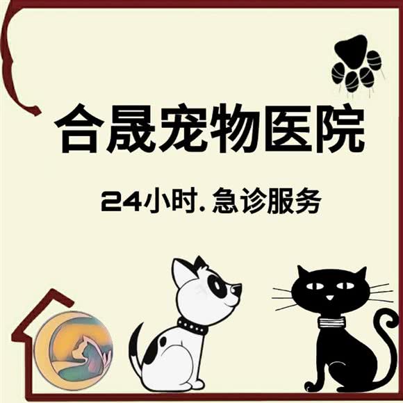 合晟宠物医院:广州市番禺区番禺广场附近