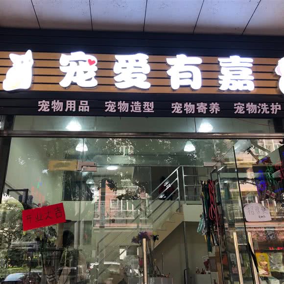 宠爱有嘉:广州市番禺区大石附近