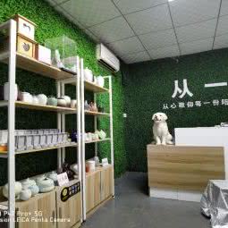 从一宠物火化善终:广州市番禺区大石附近