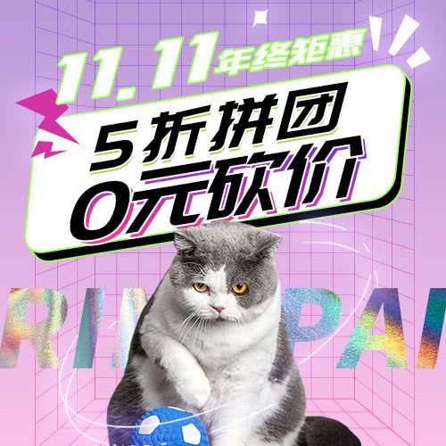 瑞派紫金宠物医院·24小时(大石院):广州市番禺区大石附近