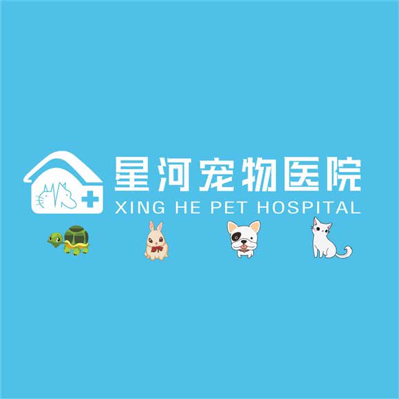 星河宠物医院:广州市番禺区大石附近