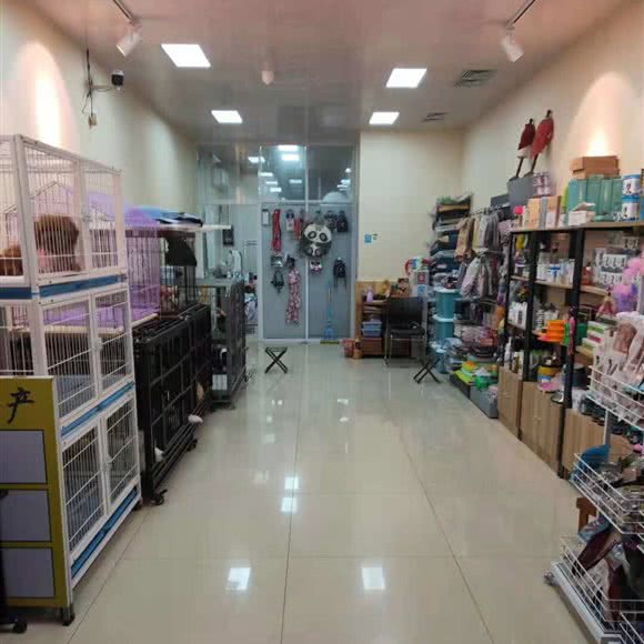 林小林宠物店:天津城区北辰区宜兴埠附近