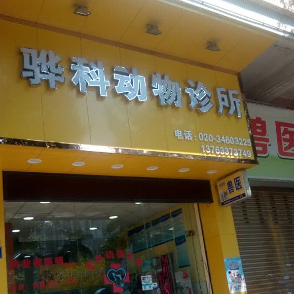 骅科动物诊所:广州市番禺区石碁附近