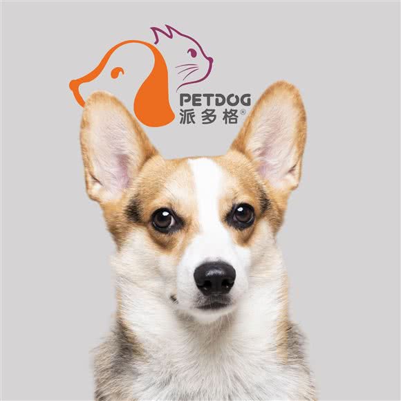派多格宠物店(尚上名筑店):广州市番禺区石楼附近