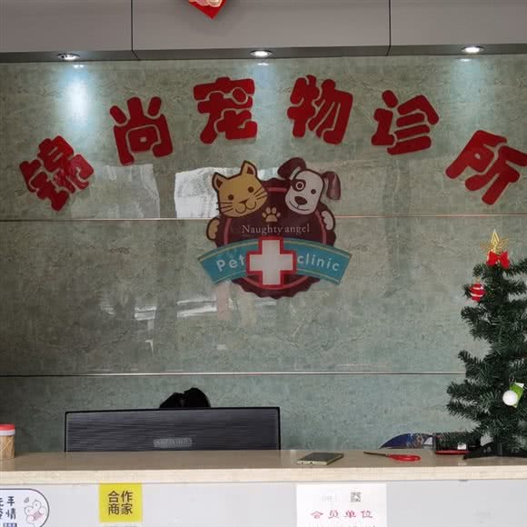 锦尚宠物诊所:广州市花都区来又来/大润发附近