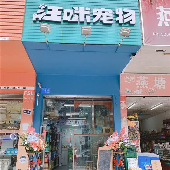 汪咪宠物(龙珠路店):广州市花都区花都广场/区政府附近