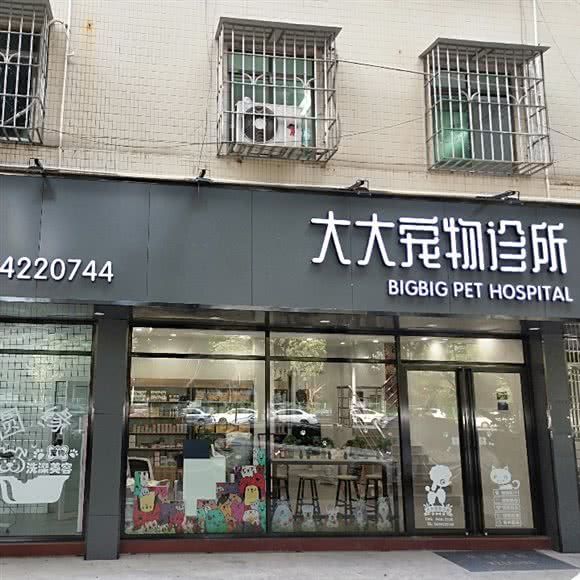 大大宠物诊所:广州市花都区花都广场/区政府附近