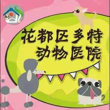 多特宠物诊所:广州市花都区花都体育馆/花果山公园附近