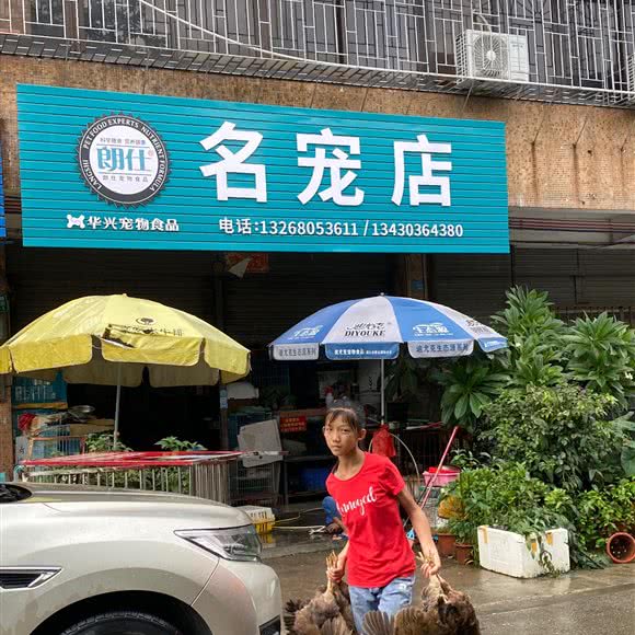 名宠店:广州市花都区雅瑶附近