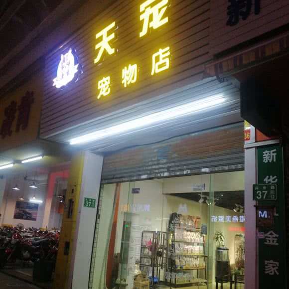 天宠宠物店:广州市南沙区南沙区附近