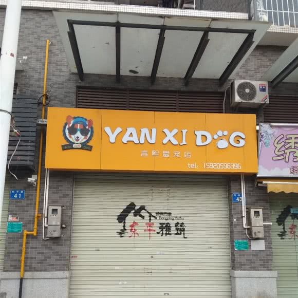 言熙爱宠店:广州市南沙区南沙区附近