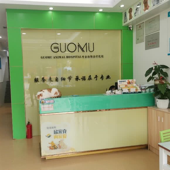 国牧哺乳动物诊所:广州市南沙区南沙区附近