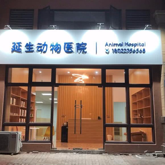 延生动物医院:广州市南沙区南沙区附近