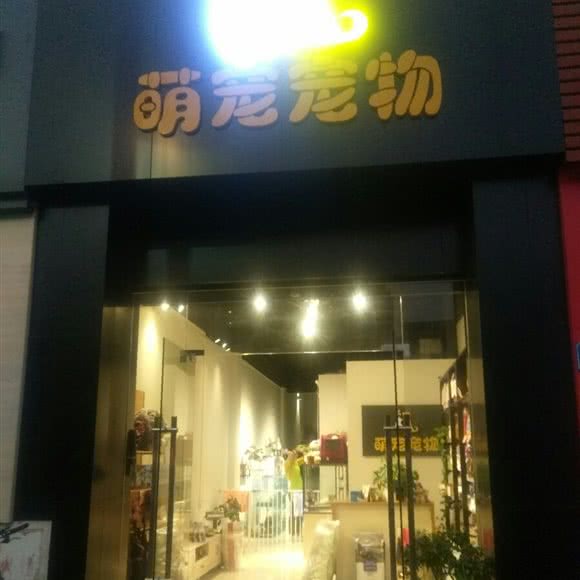 萌宠宠物:广州市从化区从化区附近