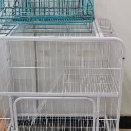 小石头家庭宠物寄养:天津城区北辰区北仓附近