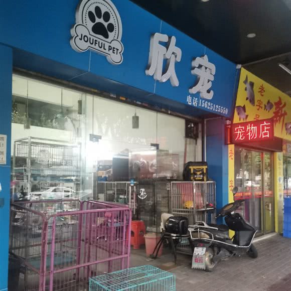 欣宠:广州市增城区挂绿广场/泰富广场附近