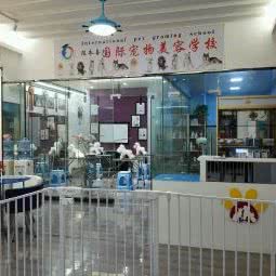 爱宠汇宠物美容沙龙:广州市增城区凤凰城附近