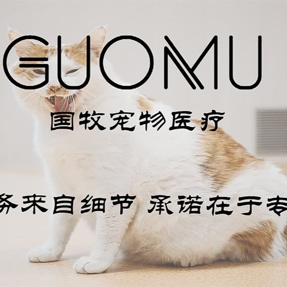国牧动物诊所(增城店):广州市增城区凤凰城附近