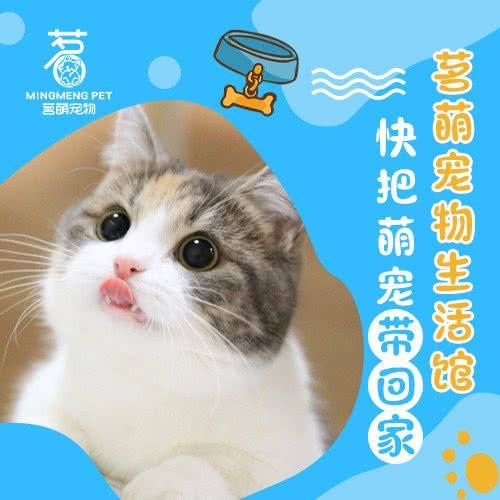茗萌宠物生活馆(豪进广场店):广州市增城区新塘附近