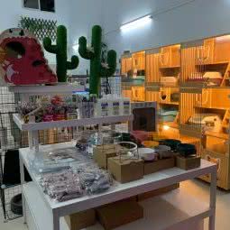 宠乐屋(石新路店):广州市增城区新塘附近