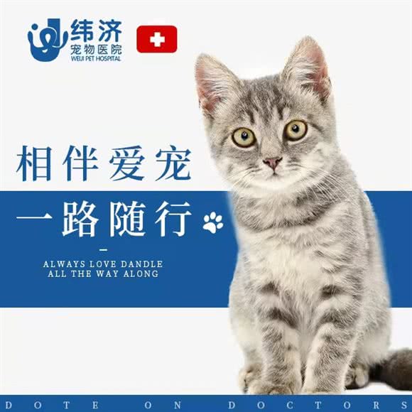 纬济宠物医院(新塘总院):广州市增城区新塘附近