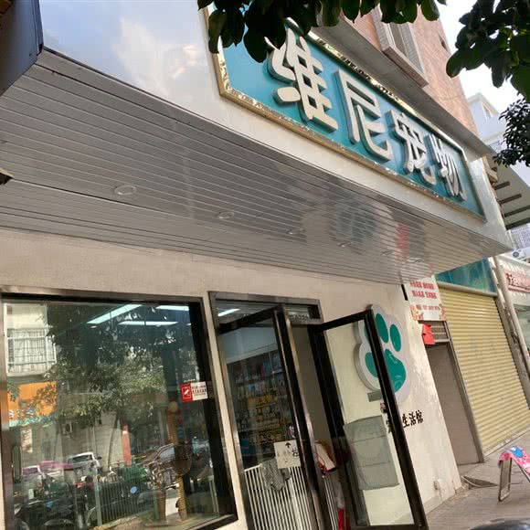 维尼宠物狗:广州市增城区荔城附近