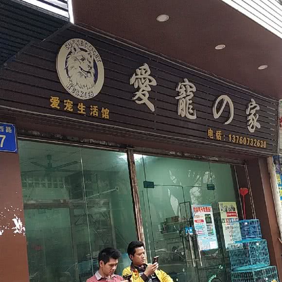 爱宠之家:广州市增城区荔城附近