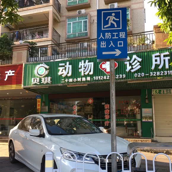 贝琪动物诊所:广州市增城区荔城附近