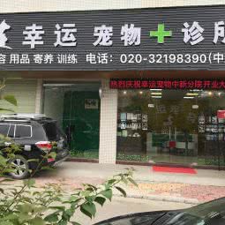 幸运宠物+诊所:广州市增城区中新镇附近