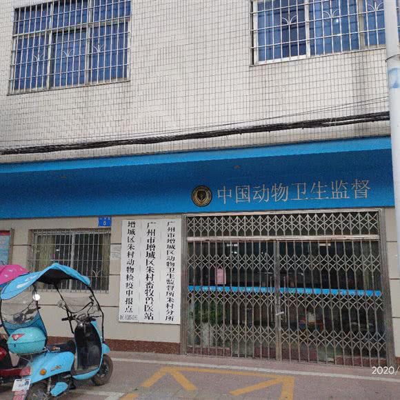 广州市增城区朱村畜牧兽医站:广州市增城区朱村镇附近