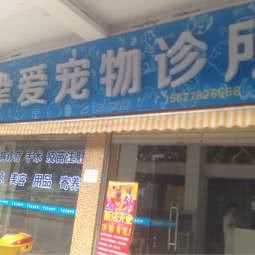 挚爱宠物诊所(西堤南路店):韶关市浈江区解放路附近