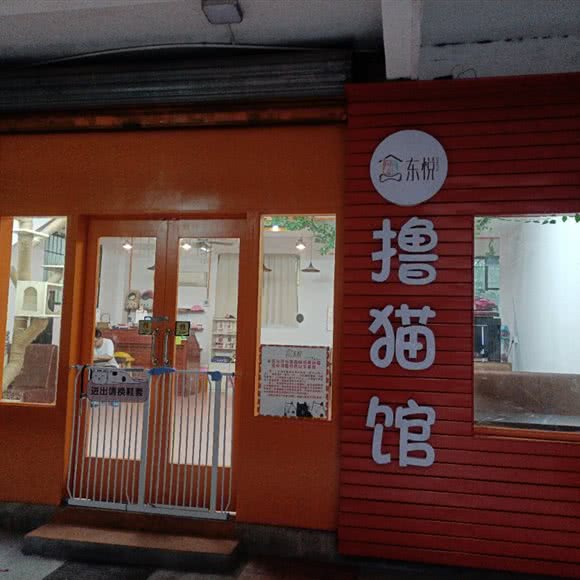 东悦撸猫馆:韶关市浈江区韶关大学附近