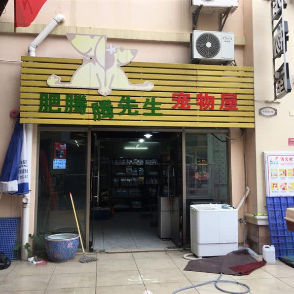肥腾腾先生宠物屋:韶关市浈江区碧桂园凤凰城附近