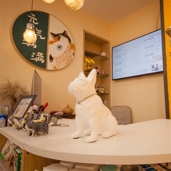 超萌宠物(罗湖翠盈嘉园店):深圳市罗湖区东门商业圈附近