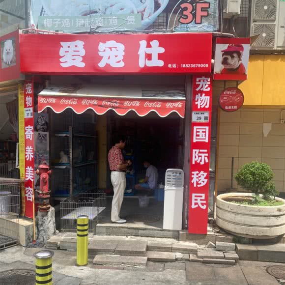 爱宠仕:深圳市罗湖区东门商业圈附近