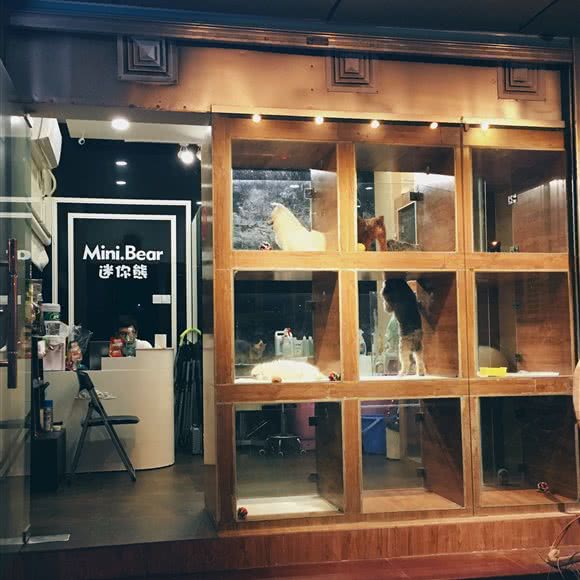 迷你熊MiniBear宠物管家:深圳市罗湖区春风万佳/文锦渡附近