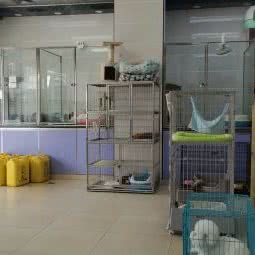 宠物迷城:深圳市罗湖区黄贝岭附近