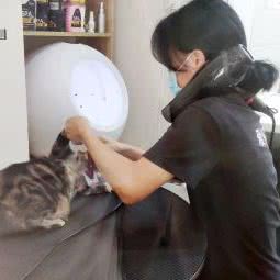 爱宠屋:深圳市罗湖区布心/太白路附近