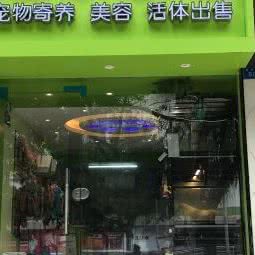 宠来宠趣:深圳市福田区市中心/会展中心附近