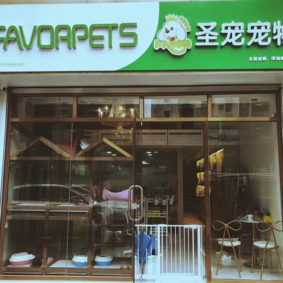 圣宠宠物(深圳梅林路店):深圳市福田区梅林附近